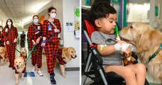 Ces chiens ont apporté un tourbillon de joie à des enfants malades qui ont dû passer Noël dans un hôpital