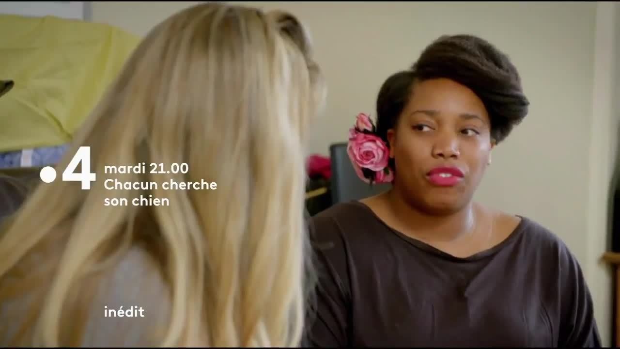 Chacun cherche son chien - 12 février
