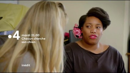 Chacun cherche son chien - 12 février