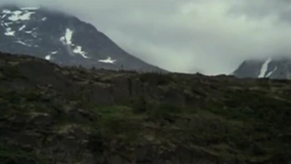 Un homme parmi les loups