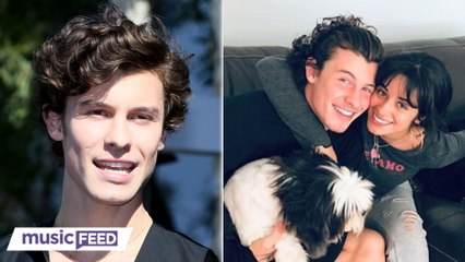 Shawn Mendes' Having 'HARD TIME' After Camila Cabello SPLIT?!