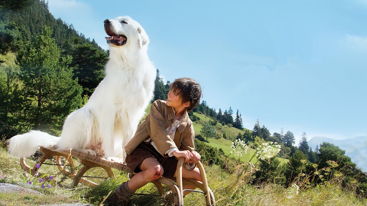 CEQ Belle et Sebastien : combien de chiens incarnent Belle dans le film ? Le ciné en questions