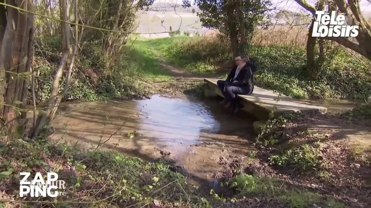 L'amour est dans le pré : Hervé le picard et Stéphanie s'embrassent, les internautes aux anges