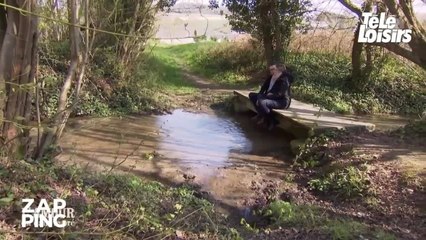 L'amour est dans le pré : Hervé le picard et Stéphanie s'embrassent, les internautes aux anges