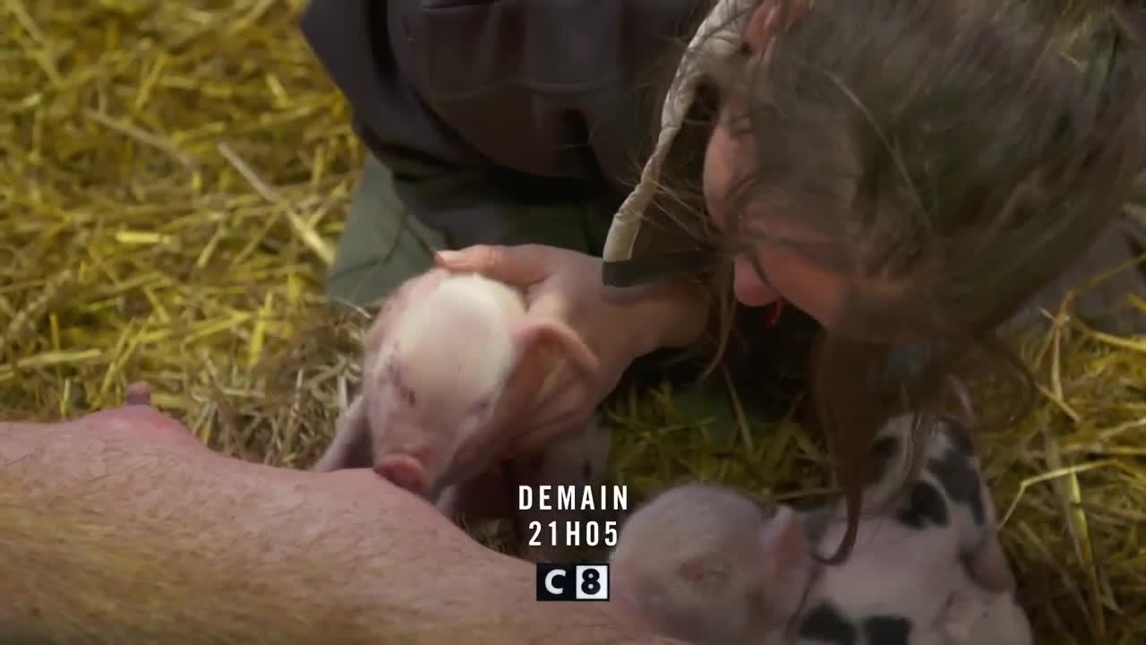 100 jours avec les animaux du Puy du Fou - 16 octobre