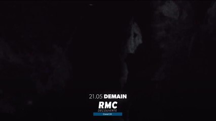 Retour à l'instinct primaire - 2 octobre