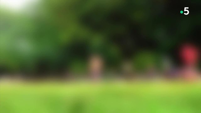 Rudy Ricciotti, un architecte de combat - 17 septembre