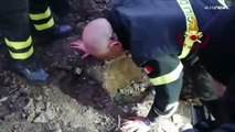 شاهد: رجال الإطفاء ينقذون كلبين حوصرا في نفق تحت الأرض بإيطاليا