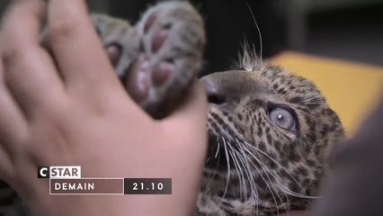 La tanière, le zoo-refuge de l'espoir - 27 août