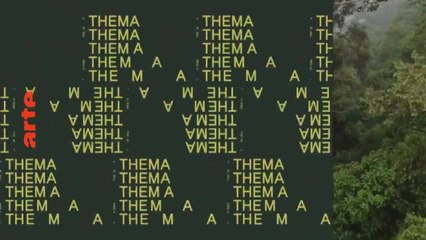 Amazonie - Enquête au coeur des luttes indigènes + Bornéo - La forêt disparue - 3 août