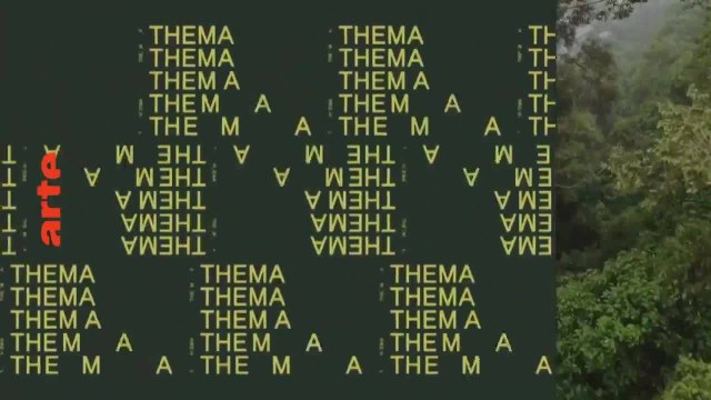 Amazonie - Enquête au coeur des luttes indigènes + Bornéo - La forêt disparue - 3 août