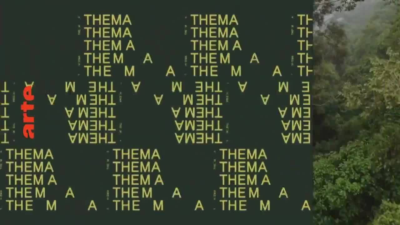 Amazonie - Enquête au coeur des luttes indigènes + Bornéo - La forêt disparue - 3 août