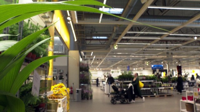Troppi costi di produzione e spedizione: Ikea costretta ad aumentare i prezzi (in media del 9%)