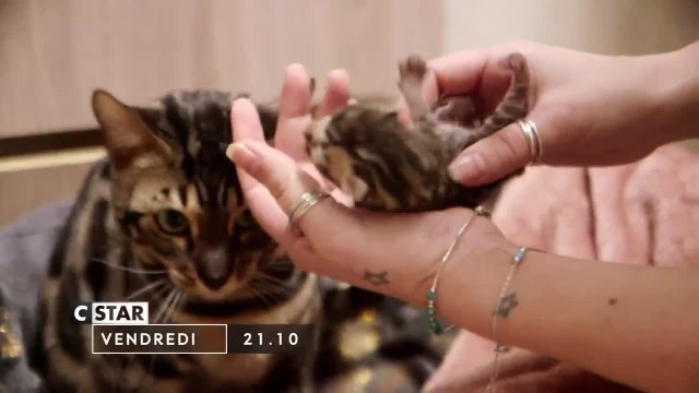 Chiots & chatons, 3 mois pour devenir grand - 30 juillet