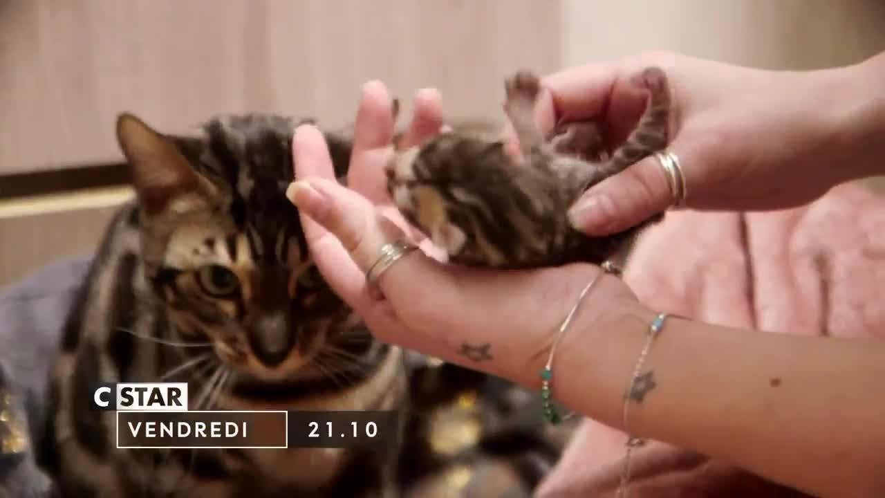 Chiots & chatons, 3 mois pour devenir grand - 30 juillet