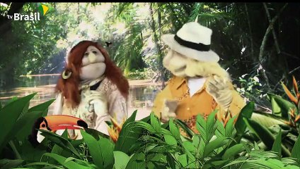 Os Cupins O Mosquito