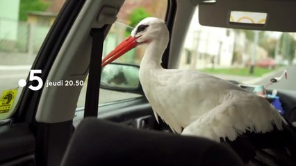 Des trains pas comme les autres - 15 juillet