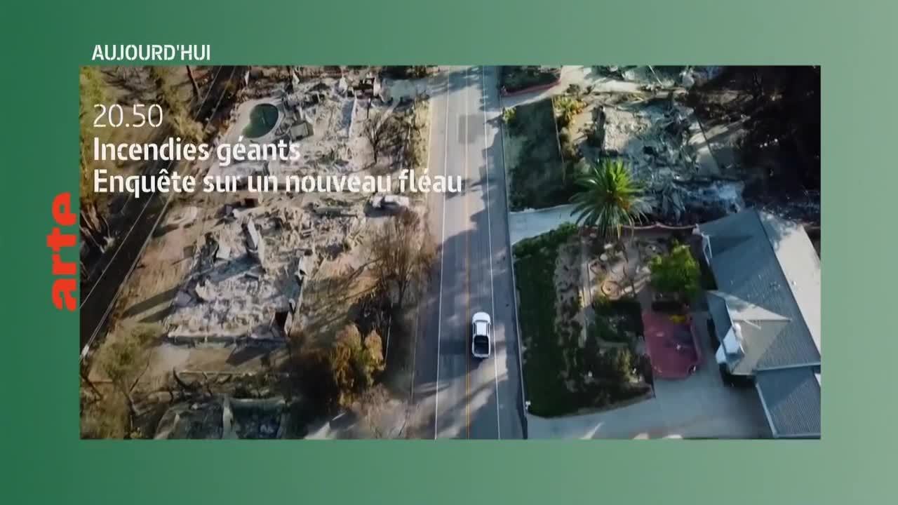 La meute - 8 juillet
