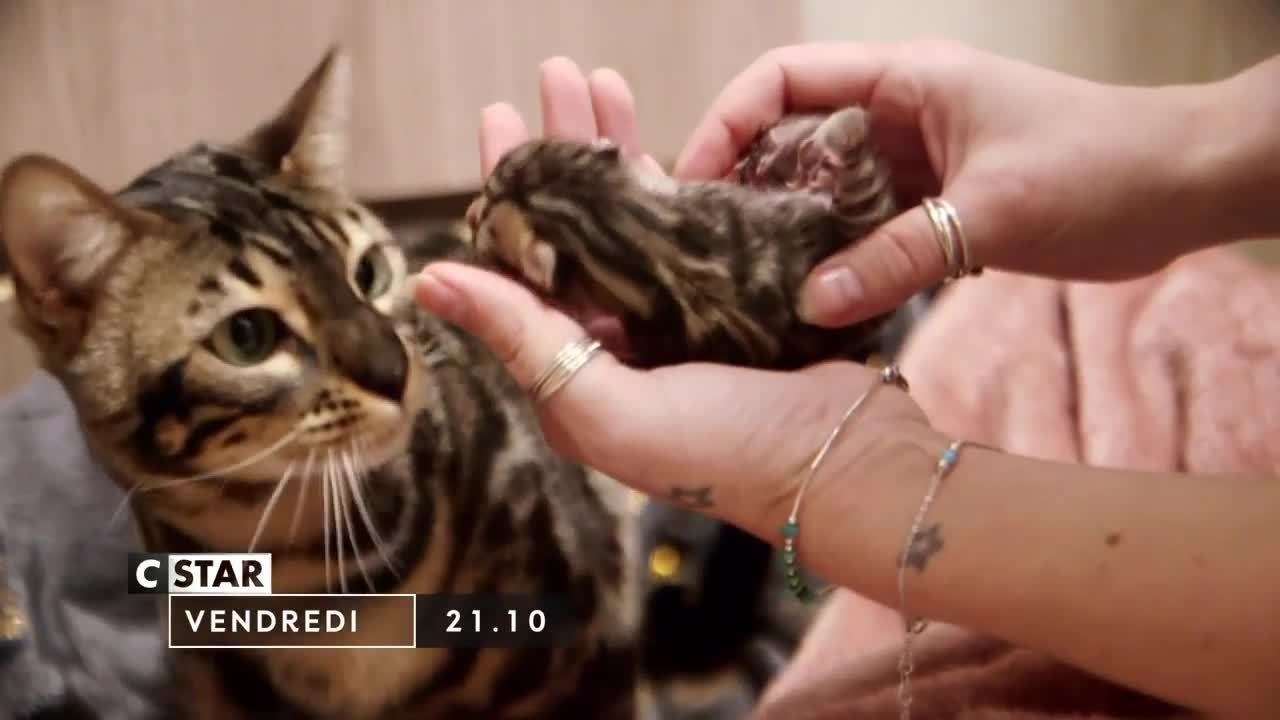 Chiots et chatons, 3 mois pour devenir grand - 16 juillet