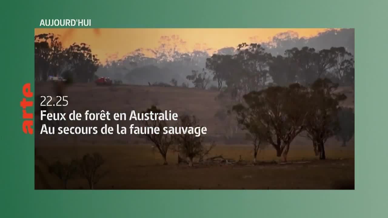 Incendies géants   enquête sur un nouveau fléau - 6 juillet