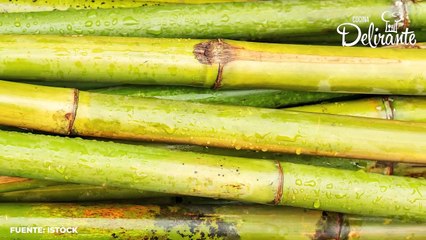 Origen y uso de la caña de azúcar.| Cocina Delirante
