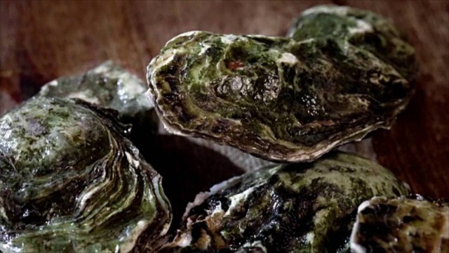 Oyster Farmers Are Slipping Notes into Shells to Catch Thieves