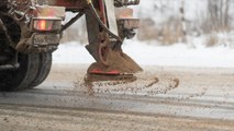 Sugar Beets Are Effective, Environmentally-Friendly Alternative To Road Salt