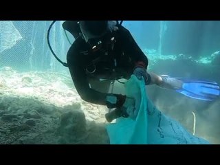 حملة تنظيف البحر الأحمر تجمع 8 أطنان مخلفات في يومين