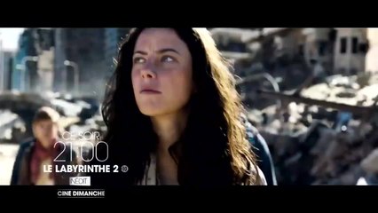 Le labyrinthe : la terre brûlée