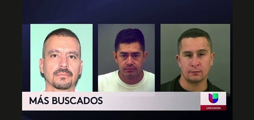 Los más buscados de la primera semana de enero en El Paso