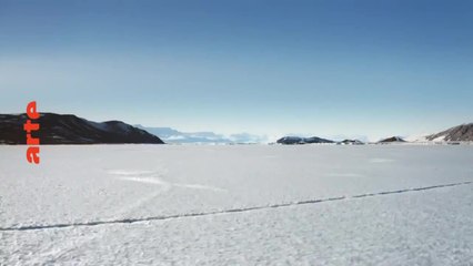 Les métamorphoses du continent blanc  - 17 avril