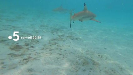 Echappées belles - 27 mars