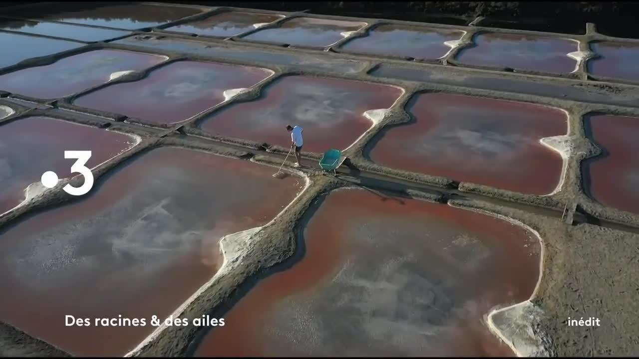 Des racines et des ailes - 7 avril