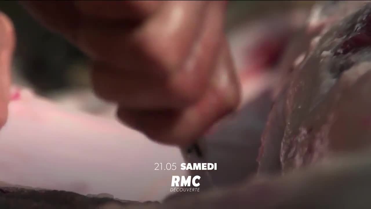 Seuls face à l’Alaska - 27 mars