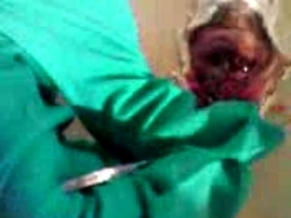 Souris 2