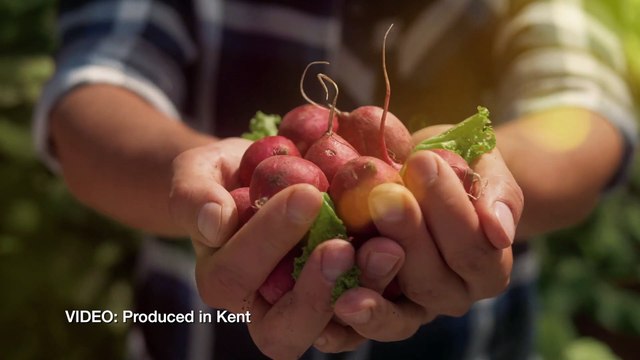 Chair of Produced in Kent honoured with CBE