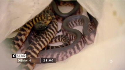 Douanes sous haute surveillance - 23 février