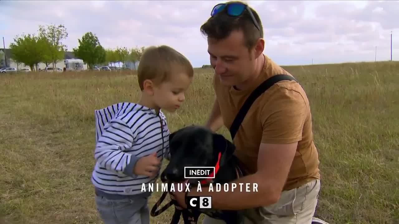 Animaux à adopter - 20 février