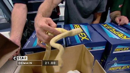 Douanes sous haute surveillance - 16 février