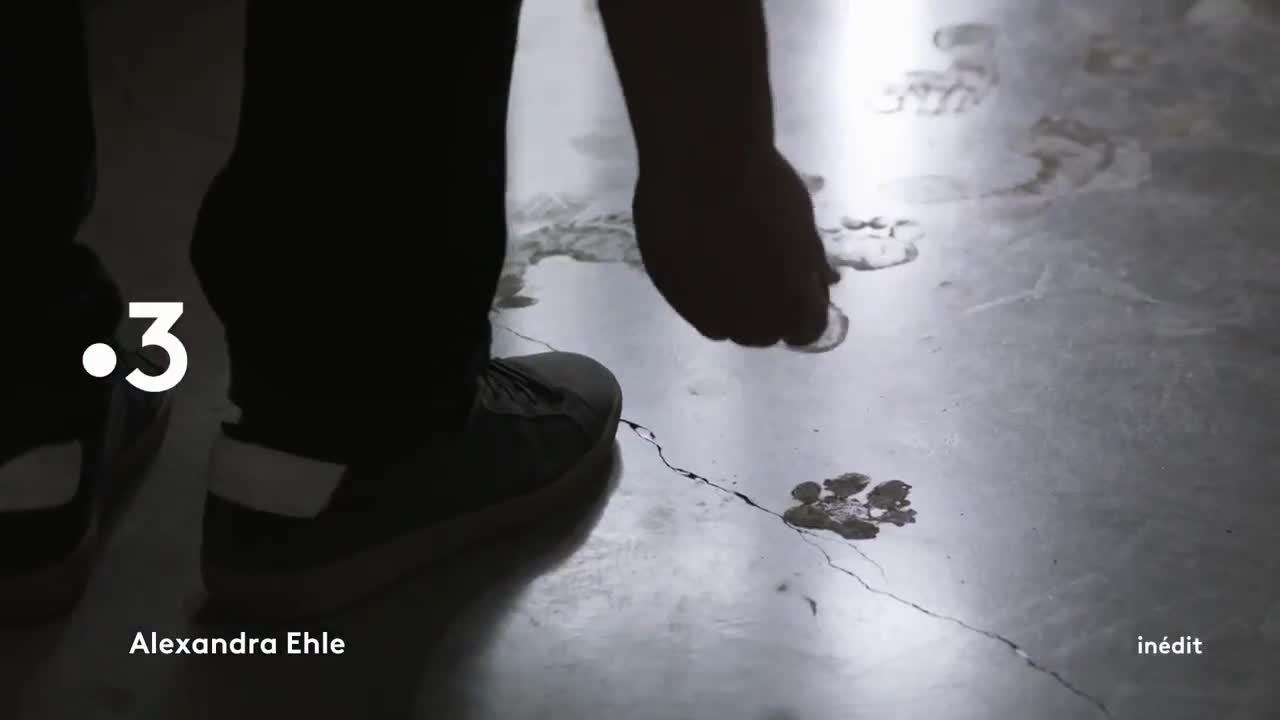 Alexandre Ehle - 2 février
