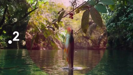 Making of, Une planète parfaite - 9 février