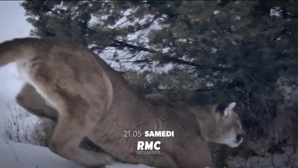 Seuls face à l'Alaska - 20 février