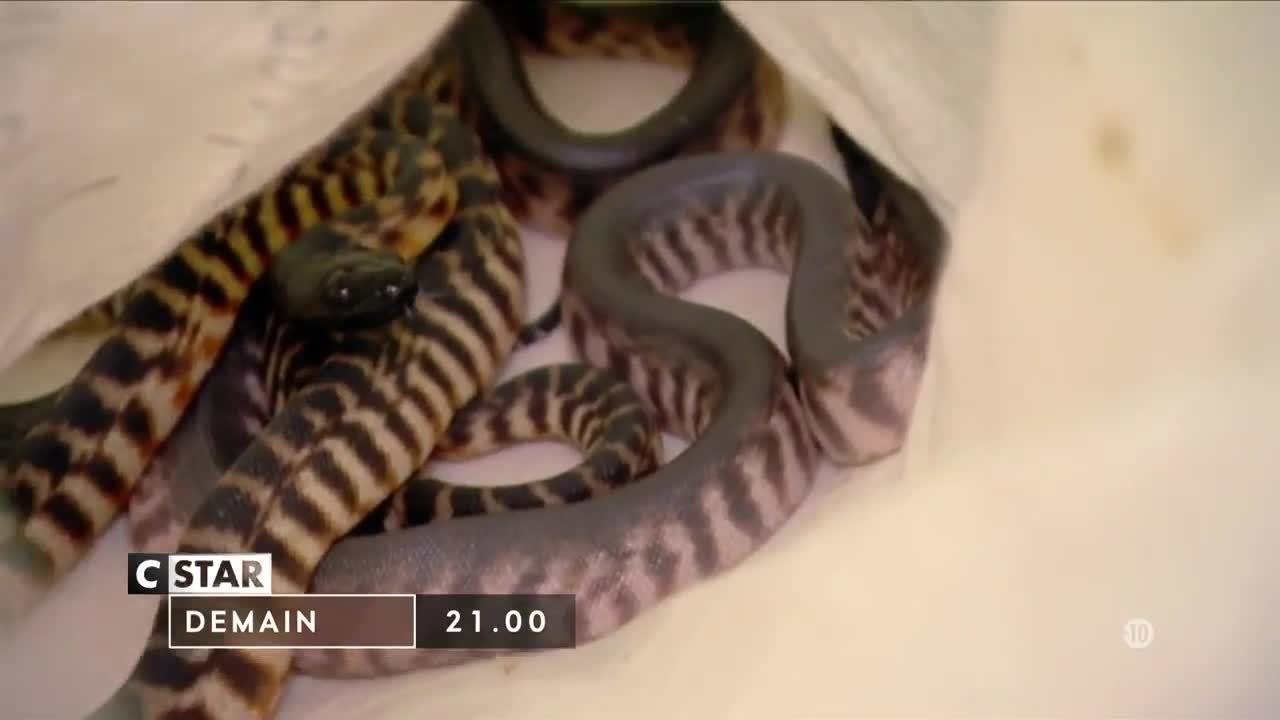 Douanes sous haute surveillance   Irlande - 2 février