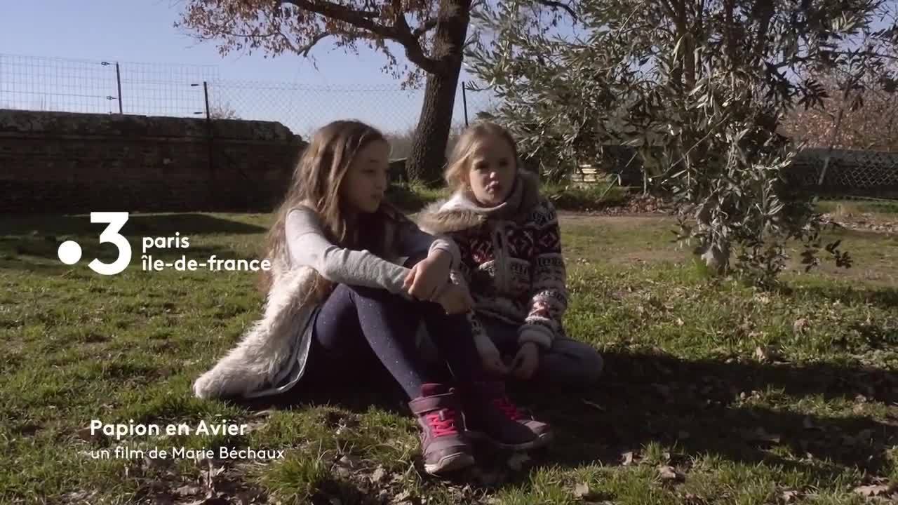 Papion en avier - 25 janvier