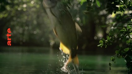 Histoire bruyante de la jeunesse (1949-2000) - 26 novembre