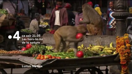 Il faut que je vous parle - 12 novembre