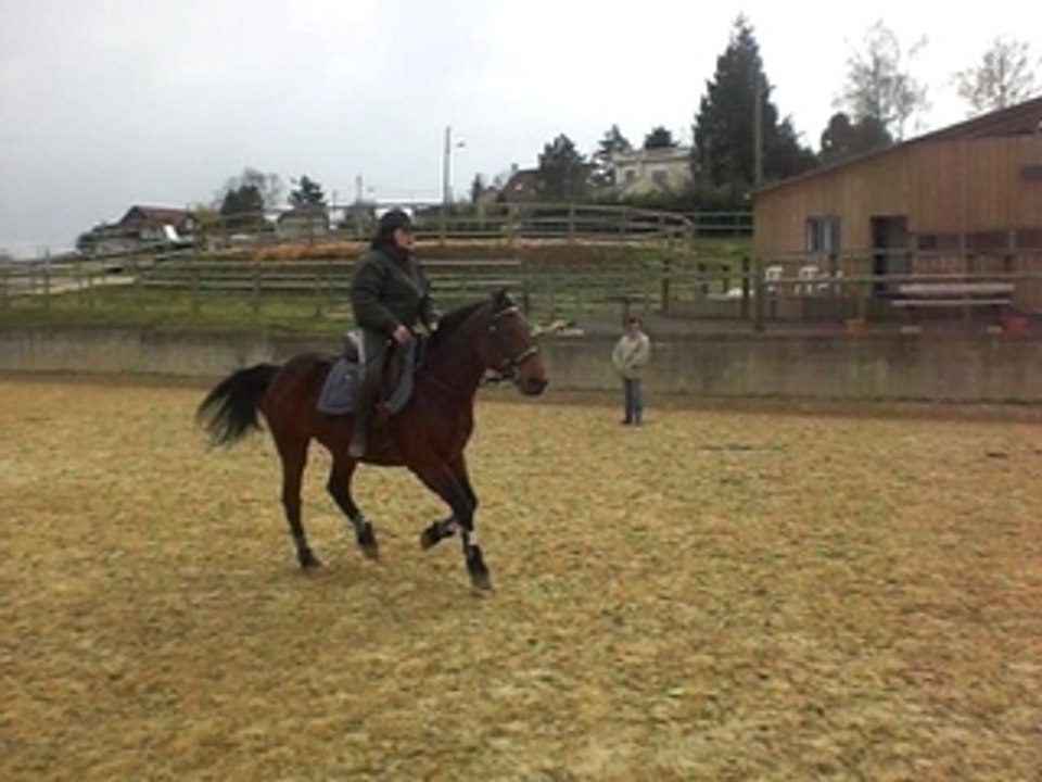 CIMG0570