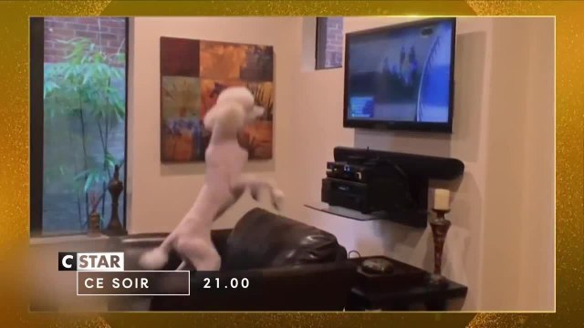 Le grand bêtisier des animaux - 27 octobre