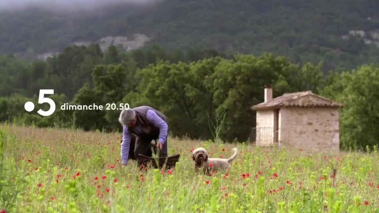 Nos prairies valent de l'or - 18 octobre