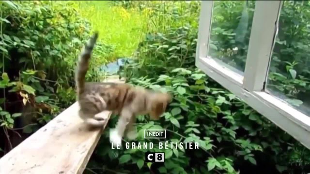 Le grand bêtisier - 17 octobre